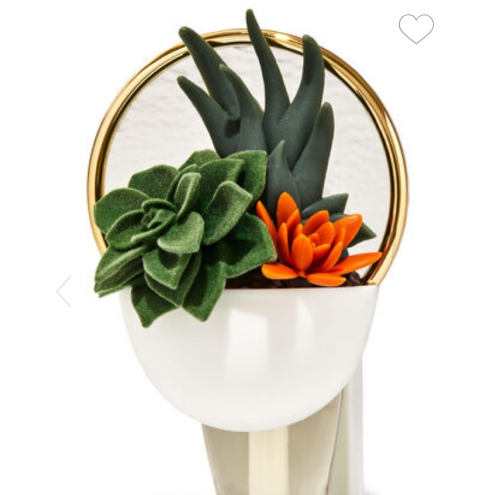 Succulent Planter Wallflower Plug 🪴